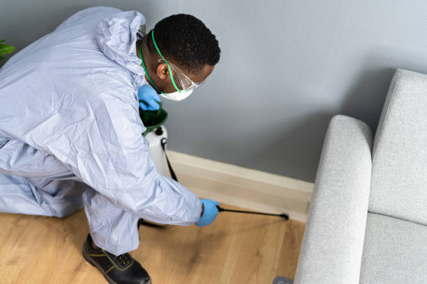 Best Residential Pest Control  in Bayshe, OR